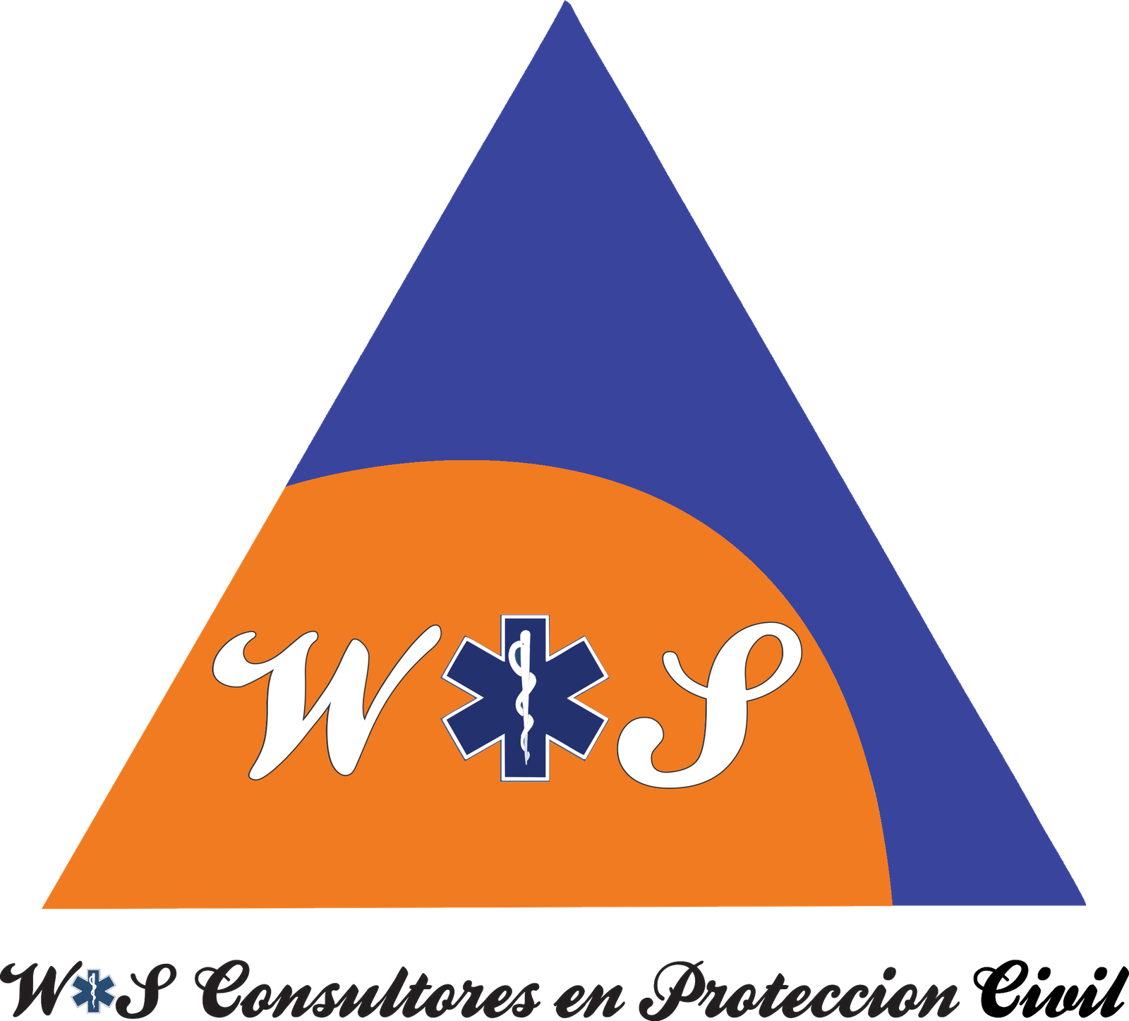 Logo W&S Consultores
